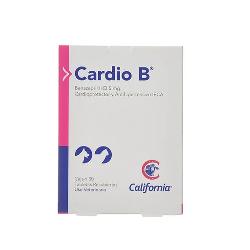 CARDIO B  CAJA X  30 TB