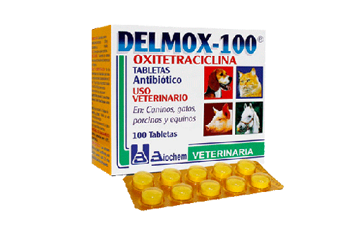 DELMOX-100  BLISTER *10 TAB